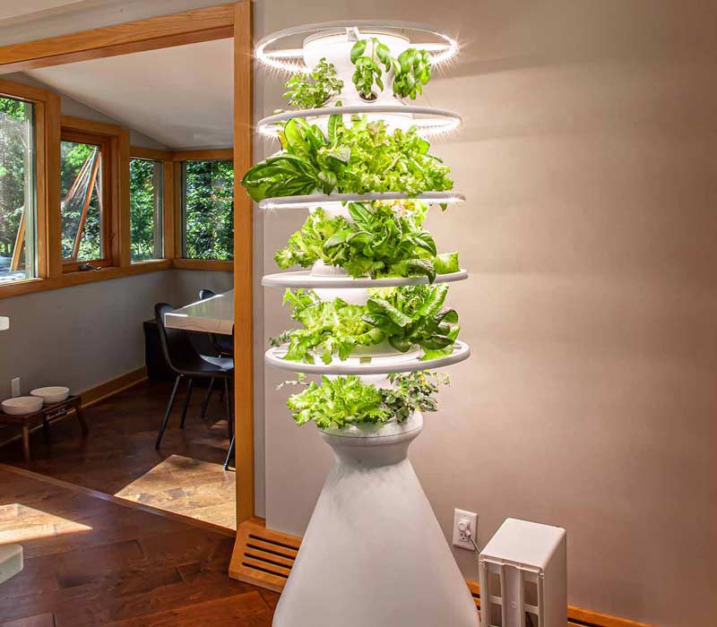 This kitchen remodel celebrates family, nature, and the unique geometry of the original home. It features crisp white cabinetry, cool-toned quartz countertops, two islands, and bold blue accents, plus a tactile mix of materials—wood, metal, glass, and stone—selected to stand the test of time in both durability and style.