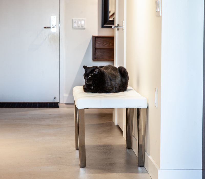 White and stainless steel dominate in this minimalist condo showcasing contemporary artwork. 