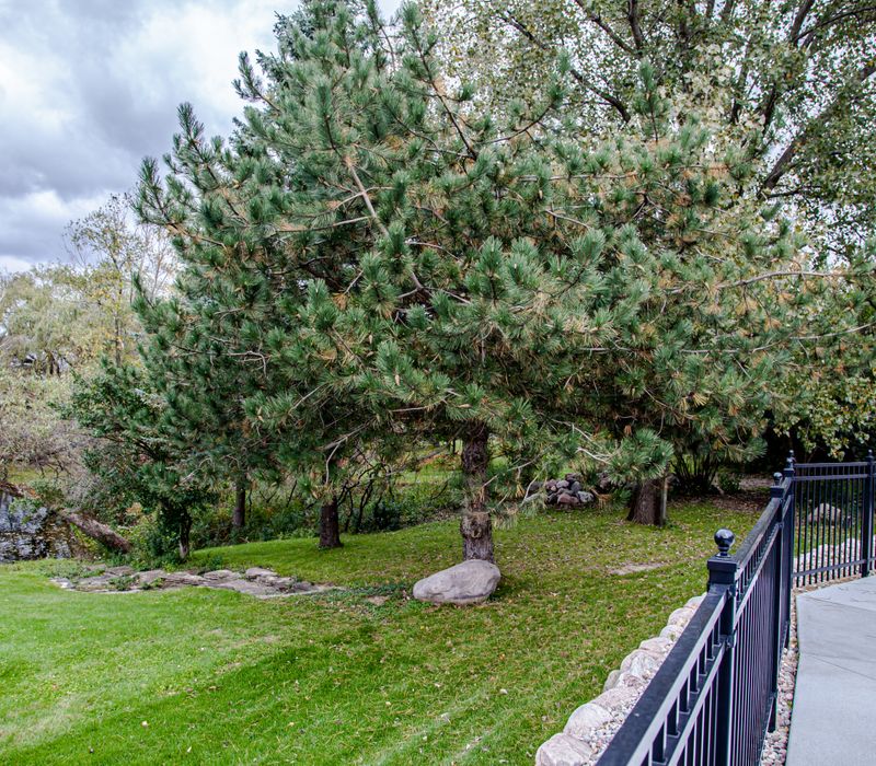 This country home has a rustic chic style with rough-hewn exposed wood beams, hand-painted terra cotta tiles, and a stone turret.