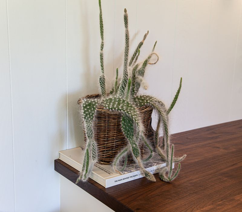 This remodeled split-level home features retro touches in an open contemporary space, and includes a craft room, central brick fireplace, exposed wood ceiling beams, and an open riser staircase. 